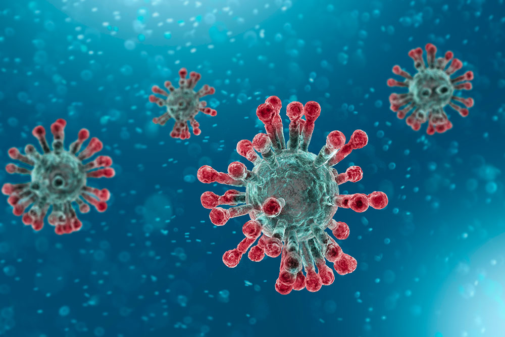 coronavirus coronavirus